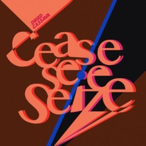 DRIED CASSAVA - Cease, See, Seize