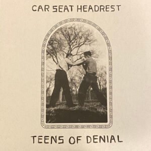 CAR SEAT HEADREST - Teens Of Denial