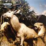INTERPOL - Our Love To Admire