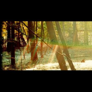 CHILDISH GAMBINO - Camp
