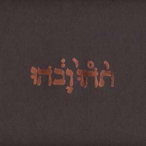 GODSPEED YOU BLACK EMPEROR - Slow Riot For New