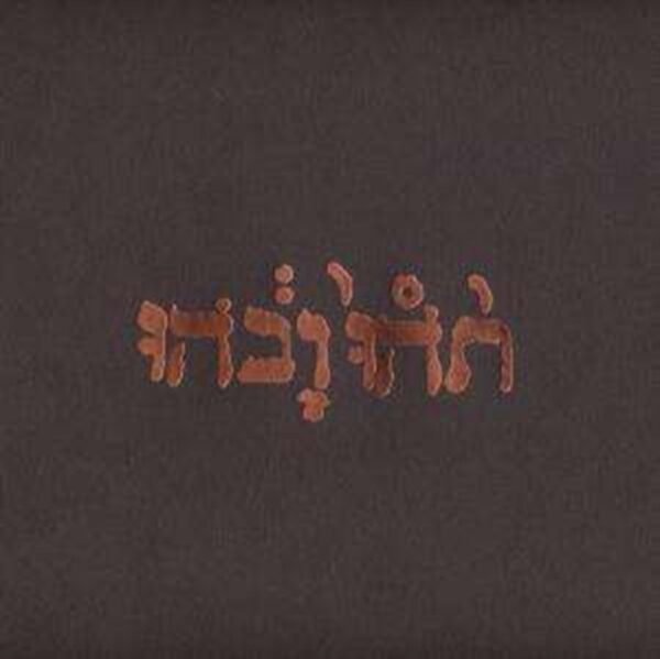 GODSPEED YOU BLACK EMPEROR - Slow Riot For New