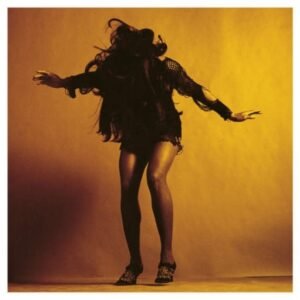 LAST SHADOW PUPPETS - Everything
