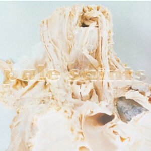 PALE SAINTS - In Ribbons