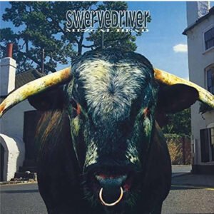 SWERVEDRIVER - Mezcal Head