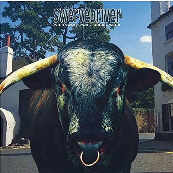 SWERVEDRIVER - Mezcal Head