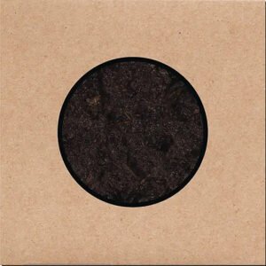 SWANS - Birthing