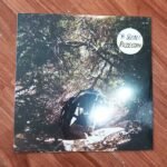 TY SEGALL - Possession