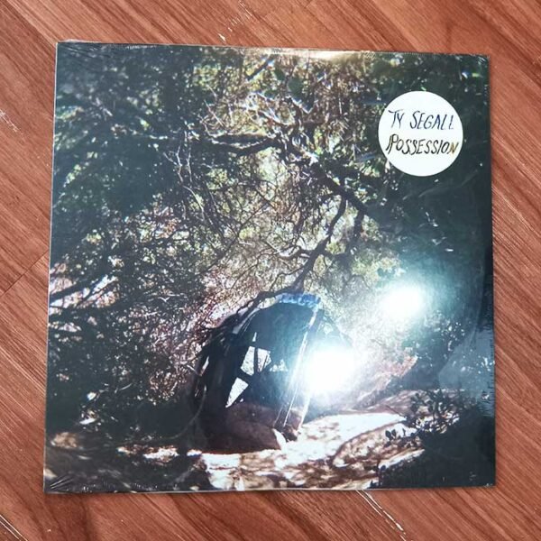 TY SEGALL - Possession