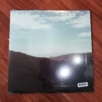 TY SEGALL - Possession