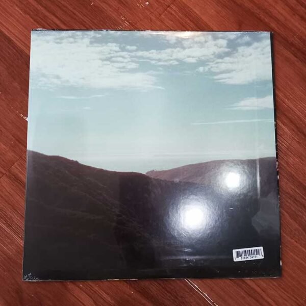TY SEGALL - Possession