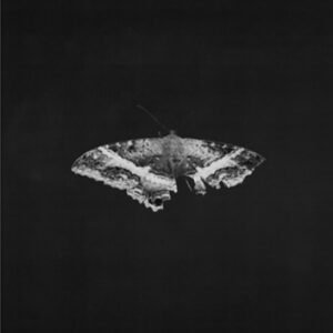 KENDRICK LAMAR -To Pimp A Butterfly (10 Year Anniversary Edition) - Alternate Artwork
