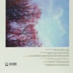AMERICAN FOOTBALL - American Football