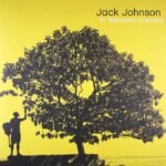 JACK JOHNSON - In Between Dreams