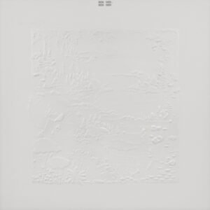 BON IVER - Bon Iver. Bon Iver (10th Anniversary)