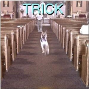 ALEX G - Trick (7inch)