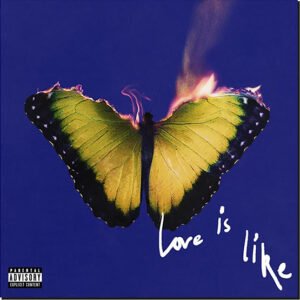 MAROON 5 - Love is Like