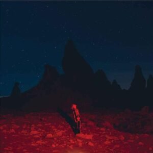 PHOEBE BRIDGERS - Punishers