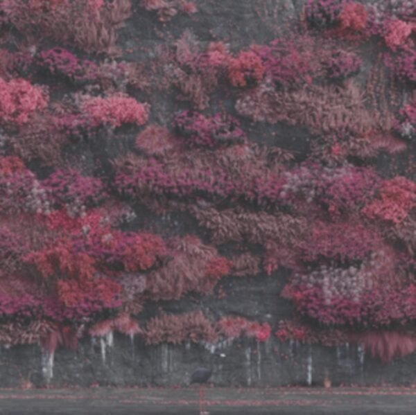 SLEEP TOKEN - Even In Arcadia