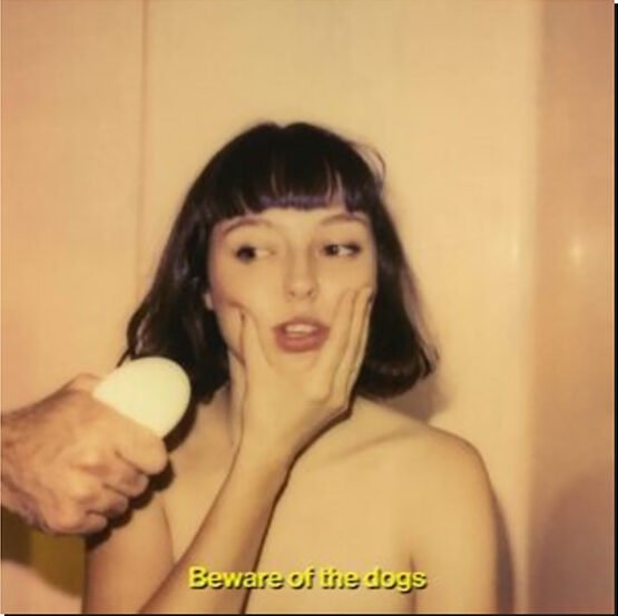STELLA DONNELLY - Beware Of The Dogs