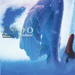 FLESHWATER - 2000: In Search Of The Endless Sky