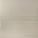 FOO FIGHTERS - But Here We Are