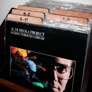 VINYL RECORD DIVIDERS - Sekat Vinyl
