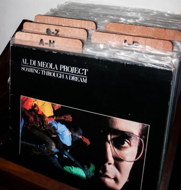 VINYL RECORD DIVIDERS - Sekat Vinyl