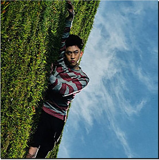 RICH BRIAN - WHERE IS MY HEAD?