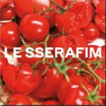 LE SSERAFIM - 1St Single Album "Spaghetti"