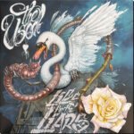 THE USED - Lies For The Liars