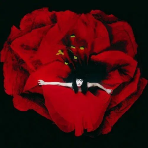 SMASHING PUMPKINS - Adore