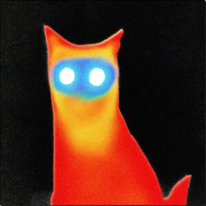 BASEMENT - Wired