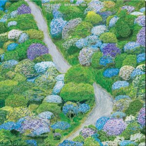 FIDDLEHEAD - Between The Richness