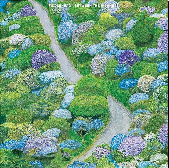 FIDDLEHEAD - Between The Richness