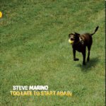 STEVE MARINO - Too Late To Start Again