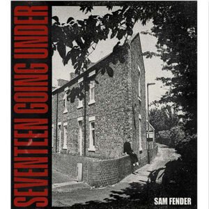 SAM FENDER - 17 Going Under