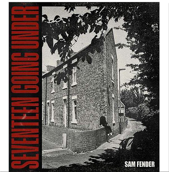 SAM FENDER - 17 Going Under